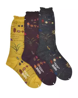 Antipast Botanical XV Boot Socks