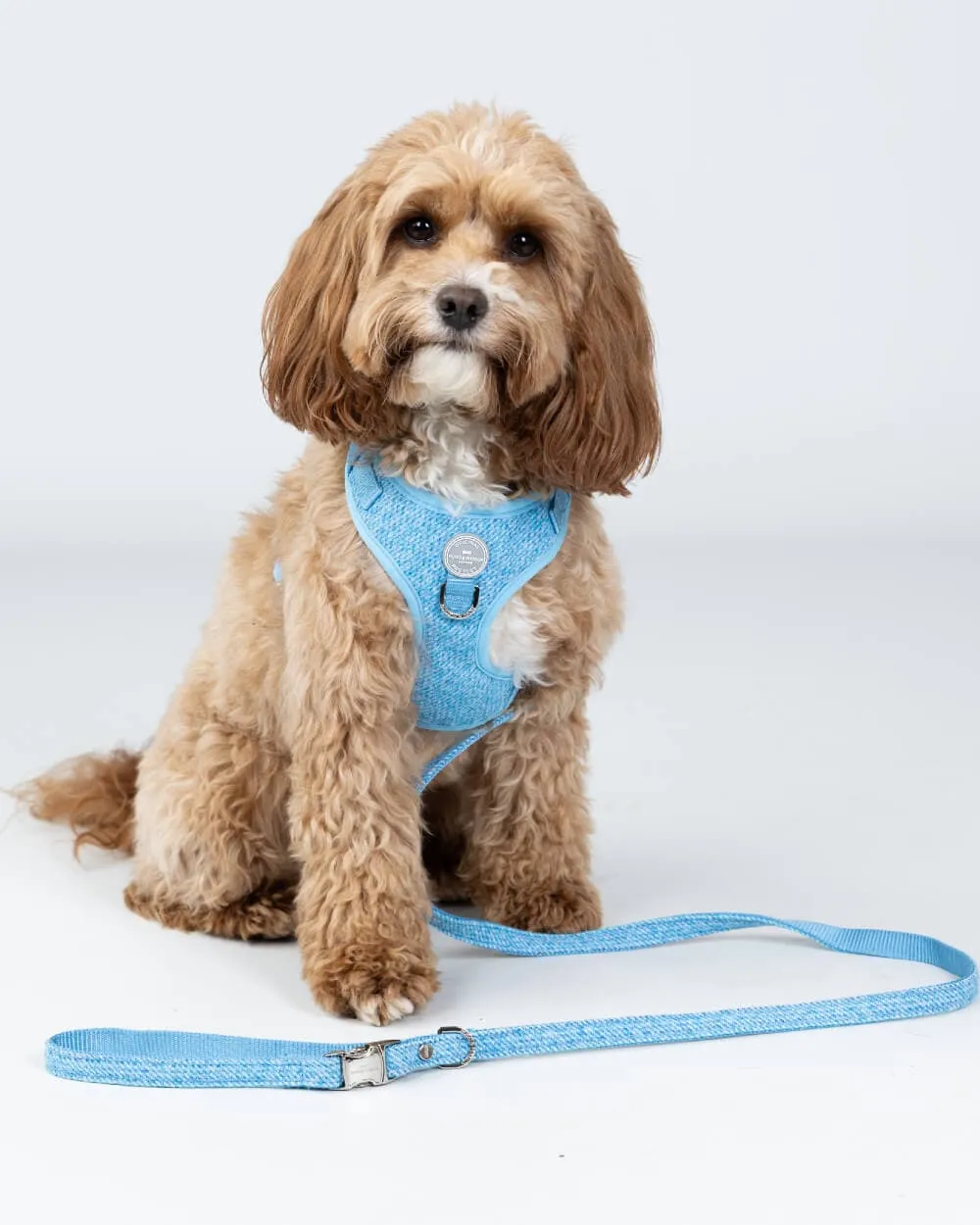 Matching Blue Luxury Tweed Bundle - Collar, Lead and Harness