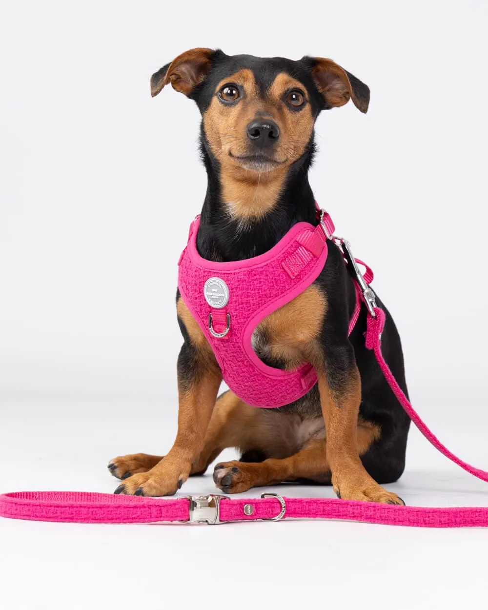 Matching Pink Luxury Tweed Bundle - Collar, Lead and Harness