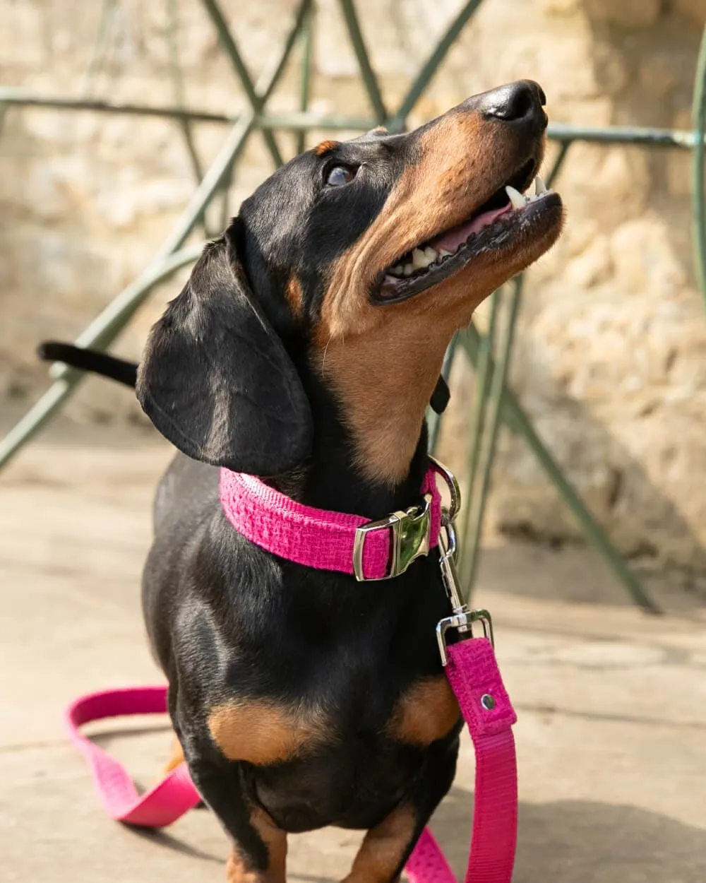 Matching Pink Luxury Tweed Bundle - Collar, Lead and Harness