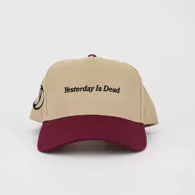 SCRIPT LOGO HAT TAN/BURGUNDY