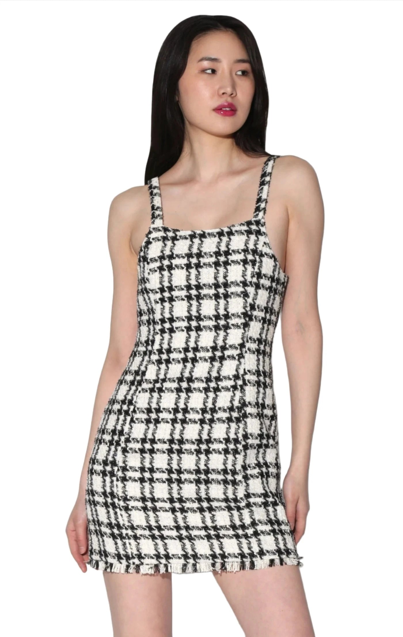 Walter Baker Barbra Tweed Dress in Houndstooth